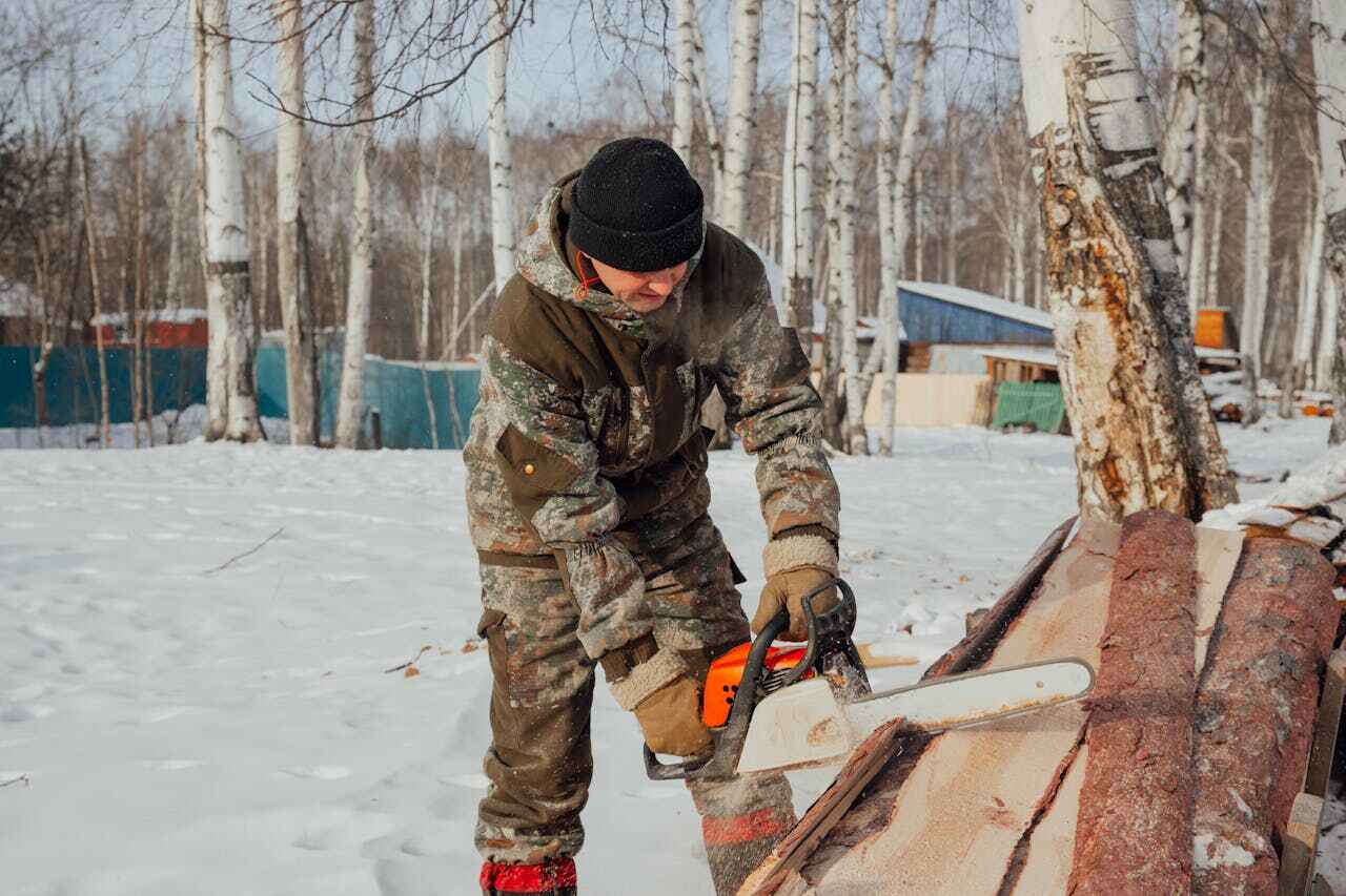  Matteson, IL TreeGuard Tree Service Pros